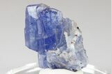 Blue-Violet Tanzanite Crystal Cluster - Merelani Hills, Tanzania #182350-2